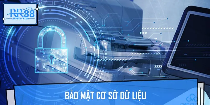 Nhà cái luôn ưu tiên bảo mật cơ sở dữ liệu