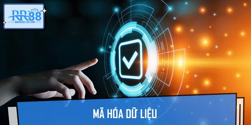Quá trình mã hóa dữ liệu hiện đại bậc nhất