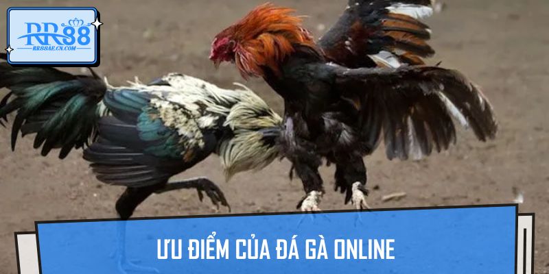 Ưu điểm của đá gà online