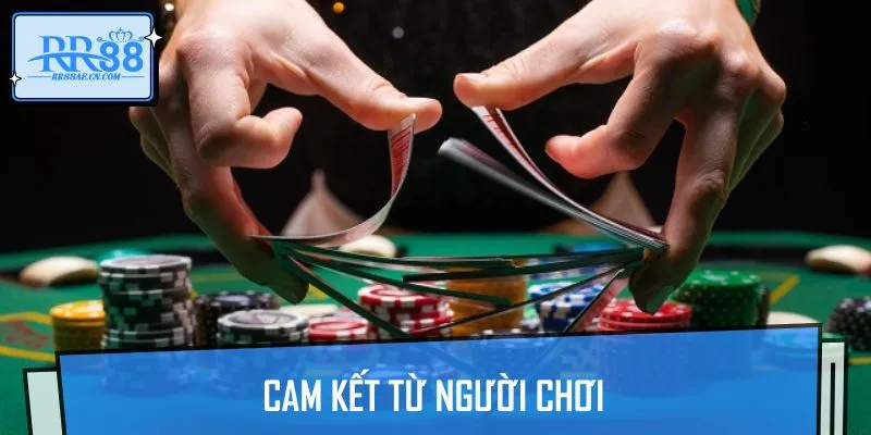Người chơi tuân thủ đầy đủ cam kết với hệ thống