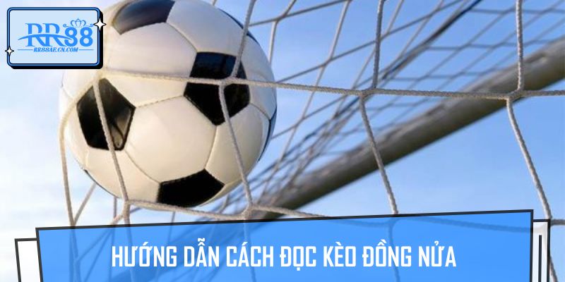 Hướng dẫn cách đọc kèo đồng nửa cho người mới