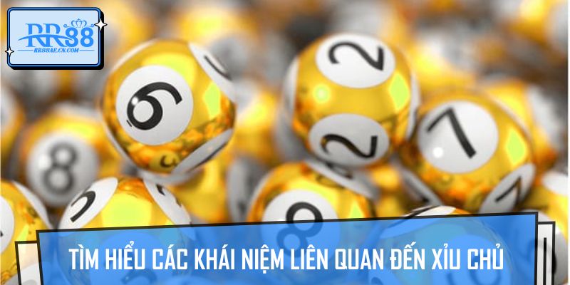 Tìm hiểu các khái niệm liên quan đến xỉu chủ